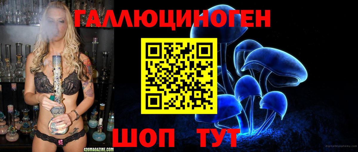 Псилоцибиновые грибы Новошахтинск
