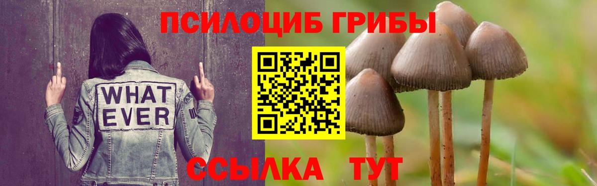 Новошахтинск  Галлюциногенные грибы мухоморы  Вход с VPN 